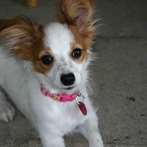 Meet your Posher, Leota